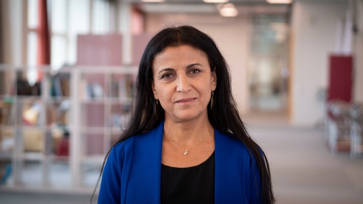 Profile image for Bayan Nasih