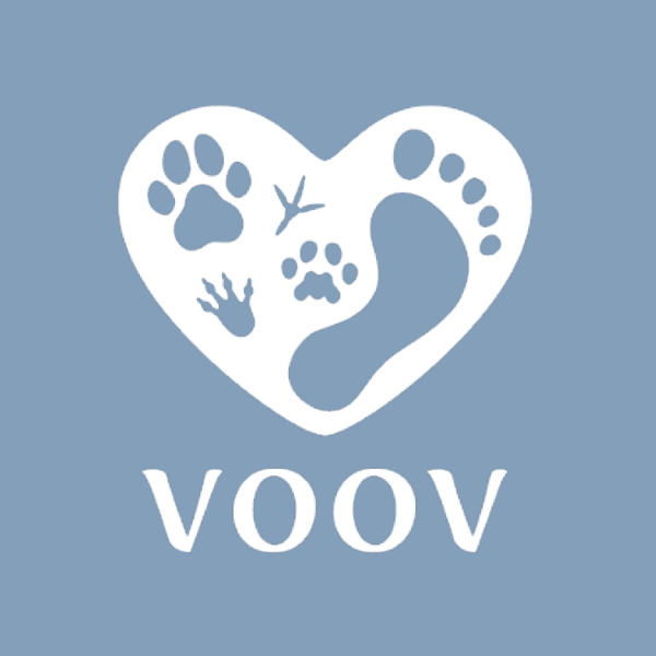 Profilbild för VOOV