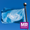 Profile image for 80. FN:s roll i en föränderlig värld
