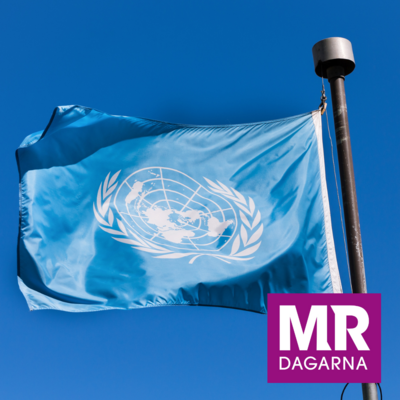 Profilbild för 80. FN:s roll i en föränderlig värld