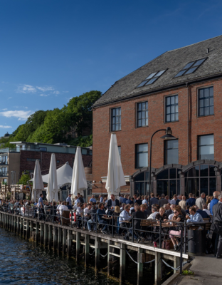 Profile image for UTC ICEBREAKER - Netwoking Event