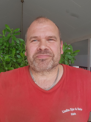 Profile image for Så jobbar vi med kalvarna på Hanåsa gård - frågestund - LIVE spelas inte in