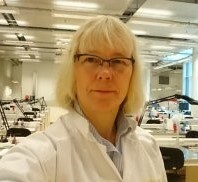 Profilbild för Survival of different sequence types of Campylobacter jejuni and risks during handling in the kitchen.