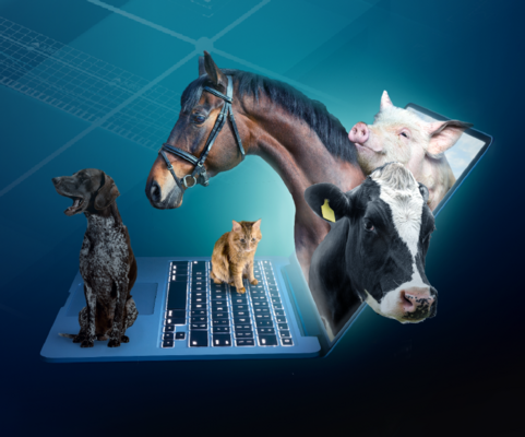 Profile image for SVF hälsar alla välkomna!