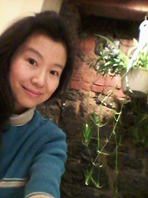 Profilbild för Yang Yang