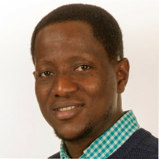 Profilbild för Taiwo Adedeji