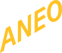 Profile image for Aneo