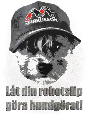 Profilbild för Oscar Löwenhielm