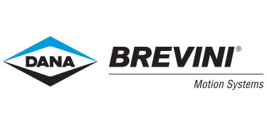 Profilbild för Dana Brevini