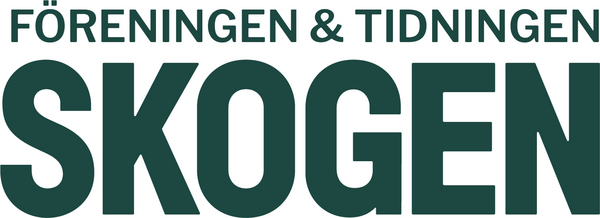 Profile image for Tidningen Skogen