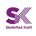 Profilbild för Digitaliseringsresan – vem kör egentligen?