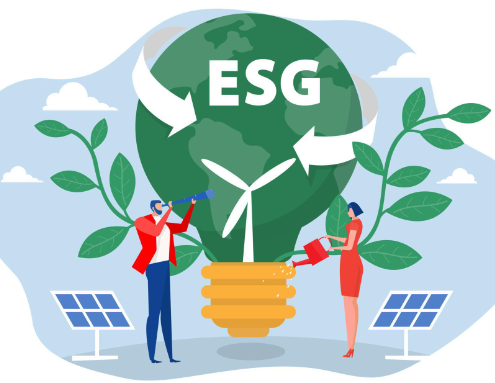 Profilbild für ESG-ready: So geht ESG-Management und -Reporting für KMU 