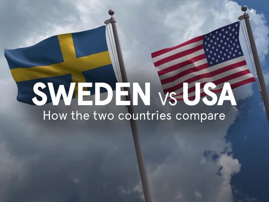 Profile image for Mental Health in the Digital World: Lessons Learned from Sweden and the USA