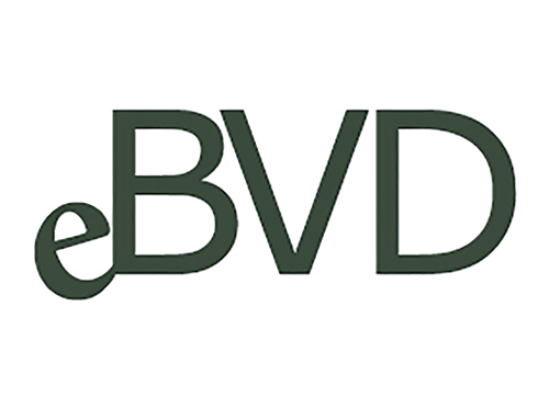 Profile image for eBVD i Norden