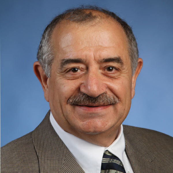 Profilbild för Prof. Arsen Krikor Melikov