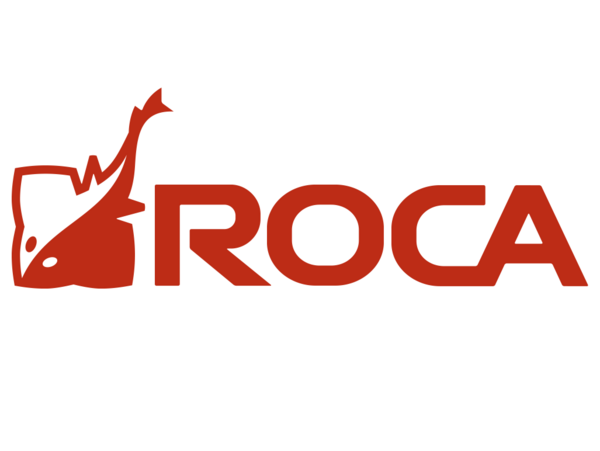 Profile image for ROCA Industry AB