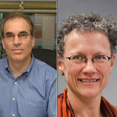 Profile image for Interview with keynote speaker of RoomVent 2024: Professor Runa T. Hellwig and Dr. Andrew Persily