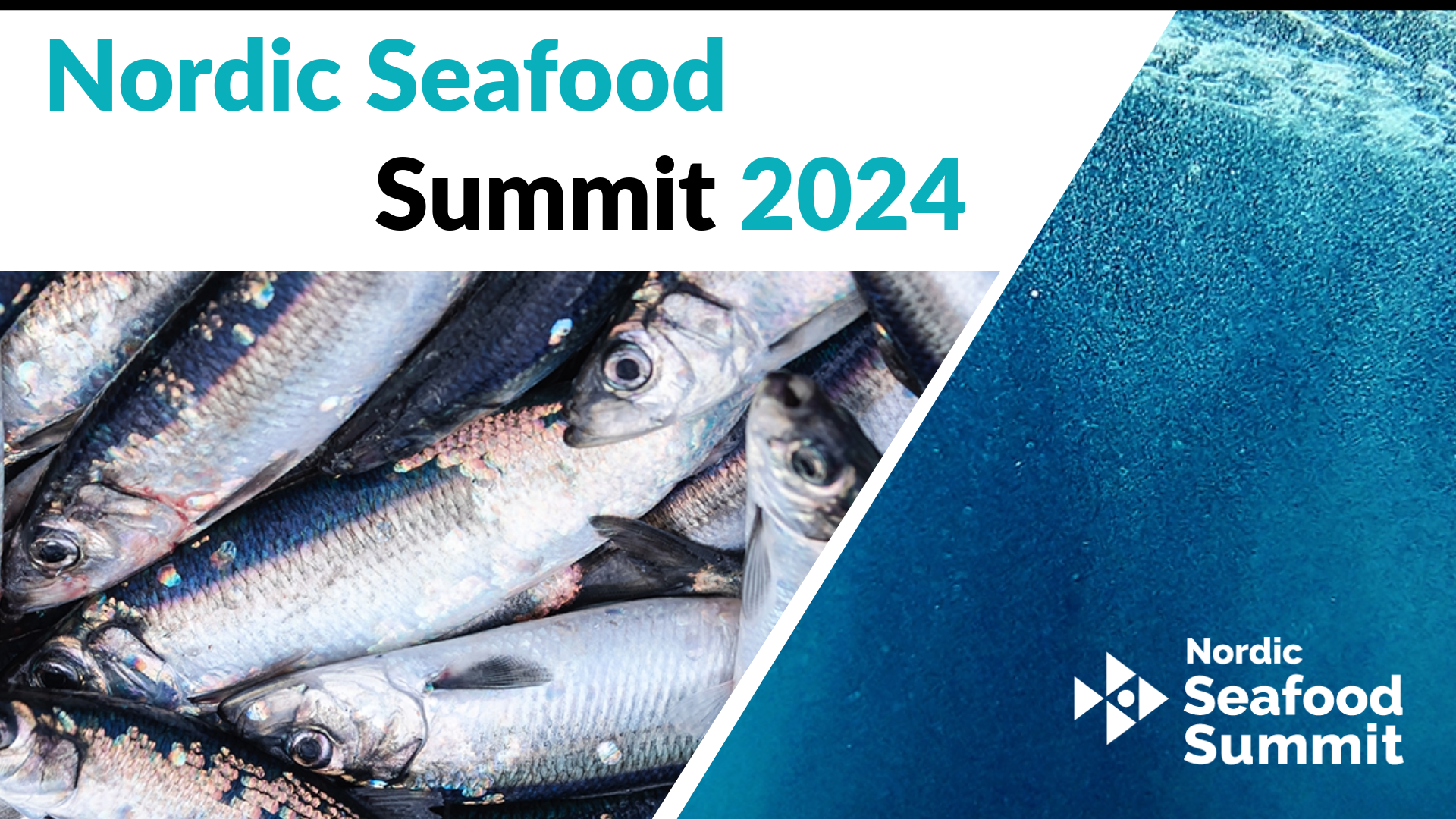 Huvudbild för Nordic Seafood Summit
