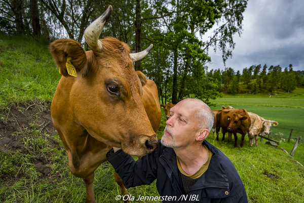 Profilbild för Utflykt till biosfärområdet Östra Vätterbranterna