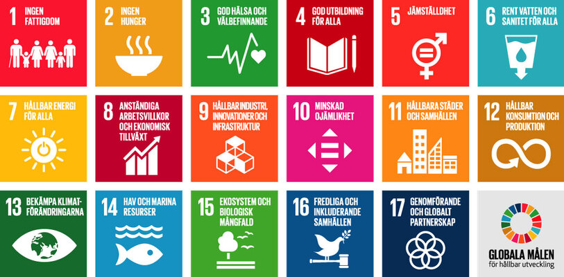 Profilbild för Rörelseupplevelser och inre utveckling för en hållbar värld