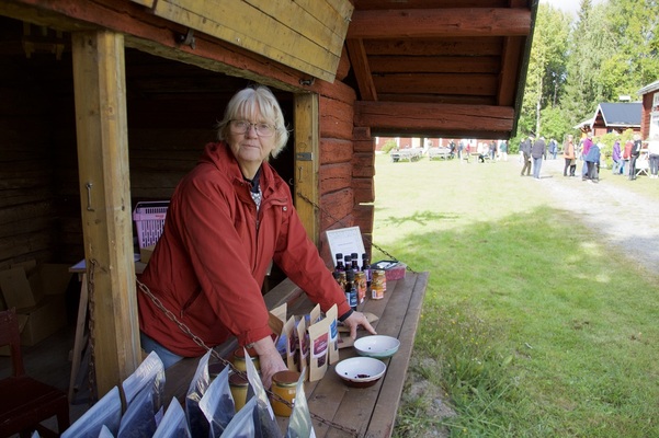 Profilbild för Bärfestivalen i Bjurholm