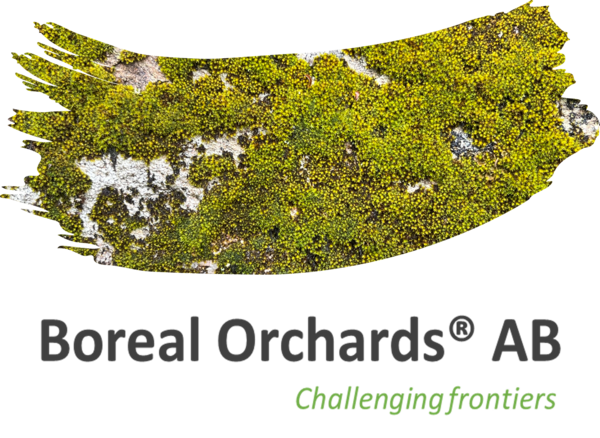 Profile image for Boreal Orchards
