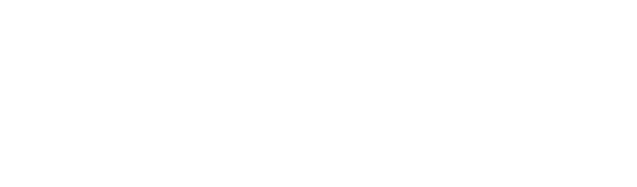 Profile image for levi