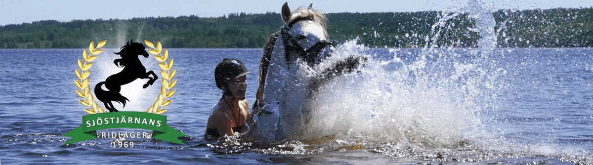 Huvudbild för Sjöstjärnans ridläger 2026