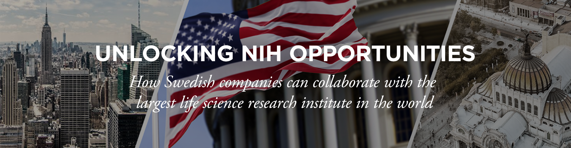 Header image for Unlocking NIH Opportunities: How Swedish Companies Can Collaborate With the Largest Life Science Research Institute in the World