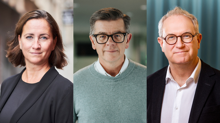 Profilbild för Mänskliga rättigheter och demokrati i Sverige – ideal eller verklighet?