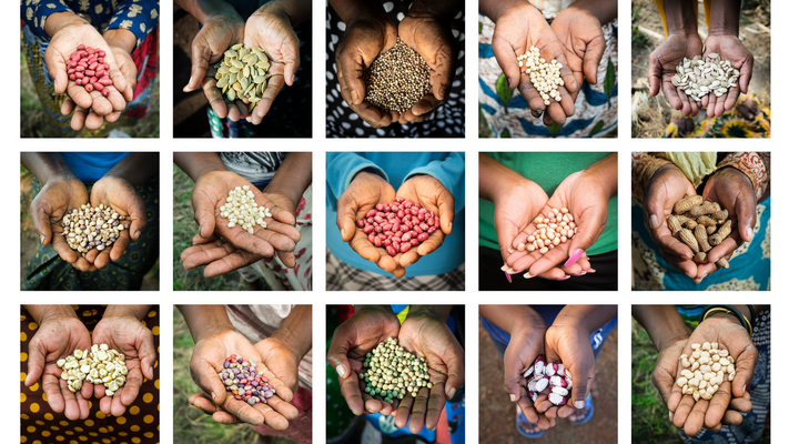 Profilbild för Rättvis matförsörjning i tider av konflikt och klimatkriser