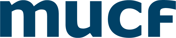 Profilbild för Ett år med nya demokrativillkor: Erfarenheter och lärdomar