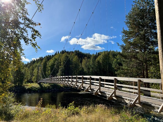 Profilbild för Familjedag i Lagnäsets naturreservat