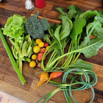 Profilbild för Fermentera och göra inläggningar, Sävarådalens trädgårdssällskap 