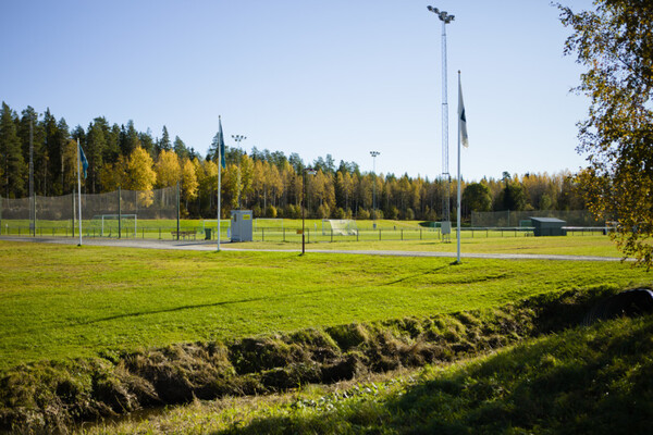 Profilbild för Natur på campus: Träd och höstfärger på campus