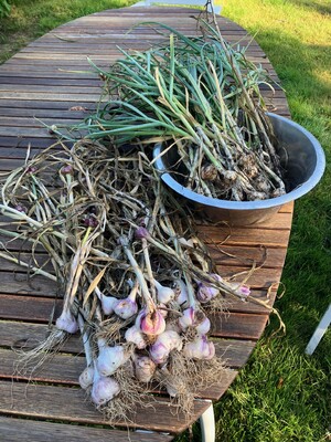 Profilbild för Självhushållning - träff för självhushållningsintresserade