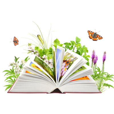 Profilbild för Boksnurra på tema Hållbarhet