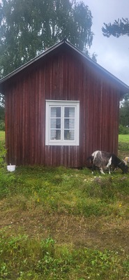 Profilbild för Så tätar du dina fönster inför vintern