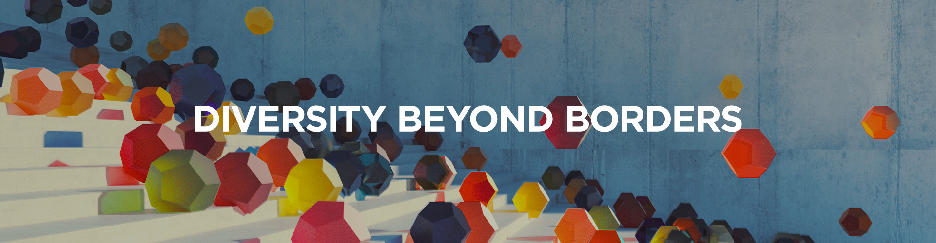 Header image for Report launch: Diversity Beyond Borders