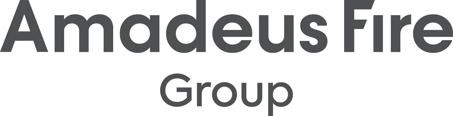 Profile image for Amadeus FiRe AG
