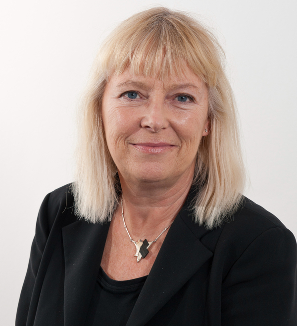 Profilbild för Bi Puranen