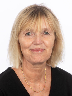 Profilbild för Patientsäker digitalisering – så lyckades SÖS med införandet av nytt PDMS