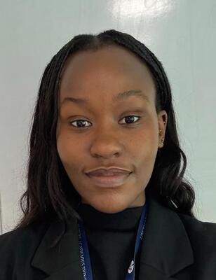 Profilbild för The involvement of persons with aphasia in shared decision-making following cerebrovascular accident(s) across clinical contexts  [PCC148]