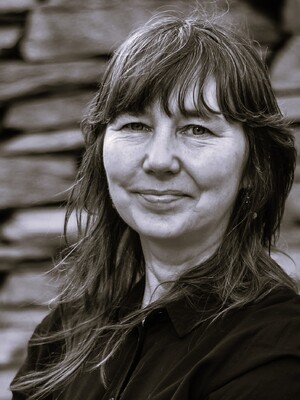 Profilbild för På väg mot en nationell terminologitjänst - erfarenheter från arbetet i Region Stockholm 