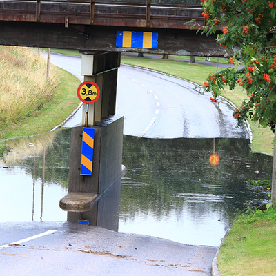 Profilbild för Framtidens affärer finns där samhället ställer om (del 2)