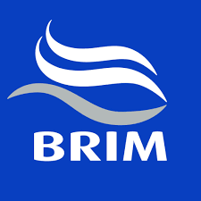 Profile image for BRIM