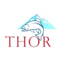 Profile image for Thor Salmon