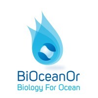 Profile image for BIOCEANOR