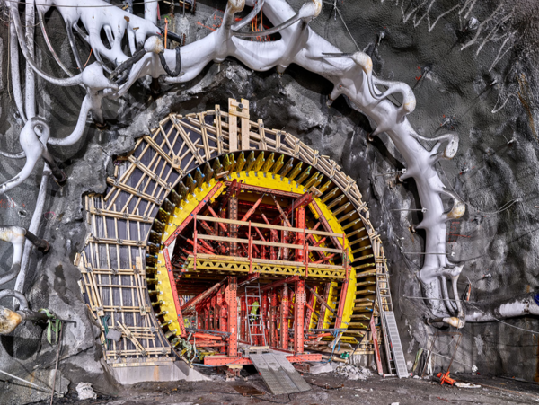 Profile image for PERI