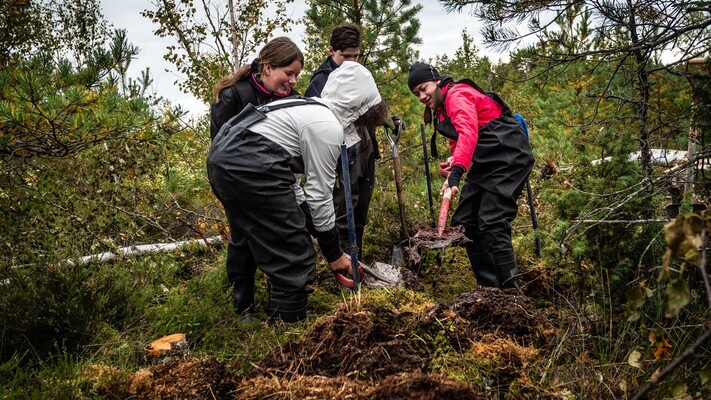 Profilbild för Att driva Våtmarksprojekt 